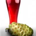 Noni Concentrate Health Benefits 